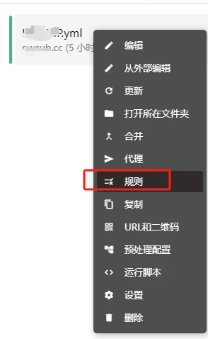 Clash for Windows访问内网